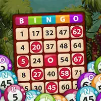 Bingo König