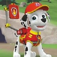 Paw Patrol Жинау Басталды