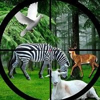 real_jungle_animals_hunting Игры