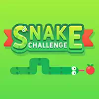 snake_challenge Тоглоомууд