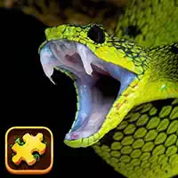 snake_puzzle_challenge Тоглоомууд