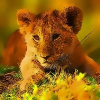 wild_baby_animals_jigsaw თამაშები