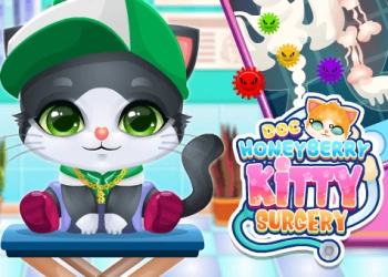 Doc Honeyberry Kitty Surgery խաղի սքրինշոթ