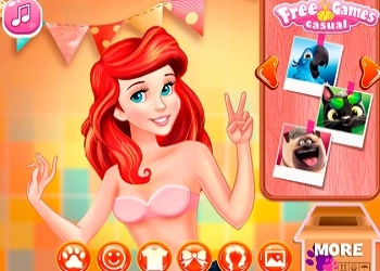 การประกวดภาพถ่ายเจ้าหญิงและสัตว์เลี้ยง ภาพหน้าจอของเกม